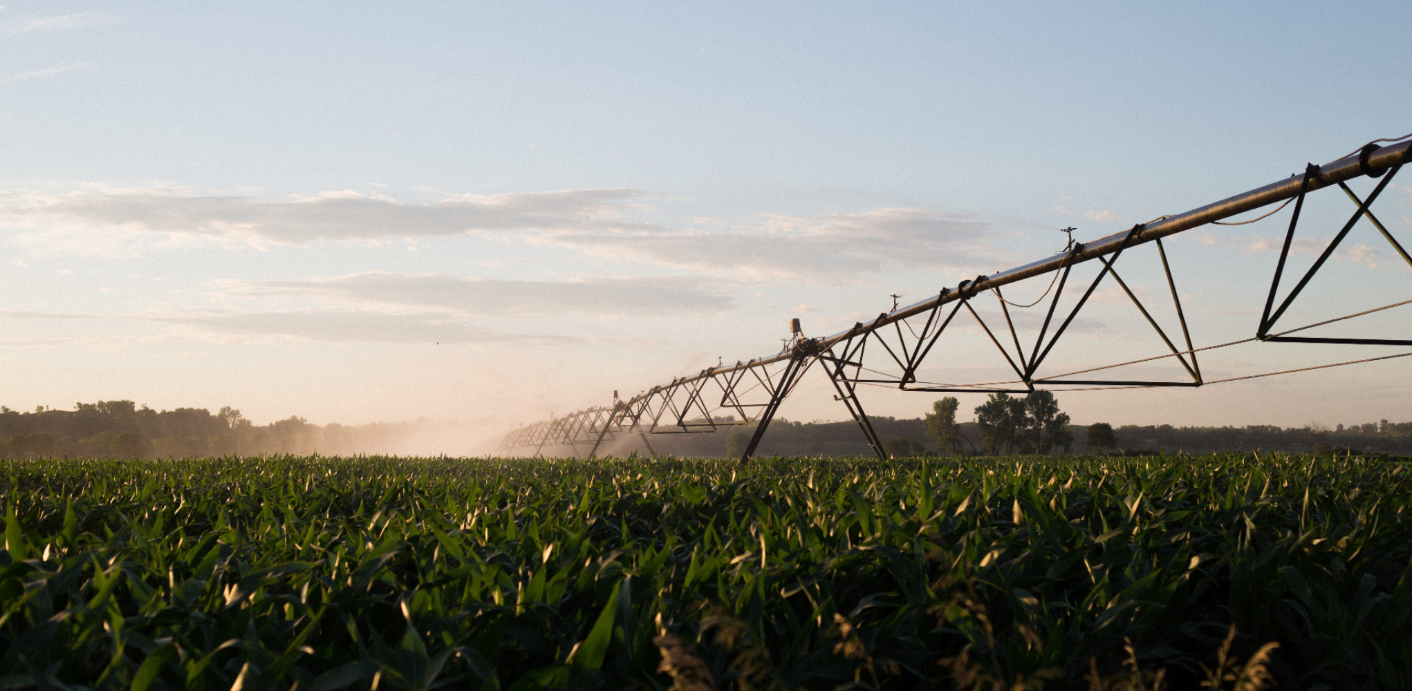 Agriculture and Agribusiness