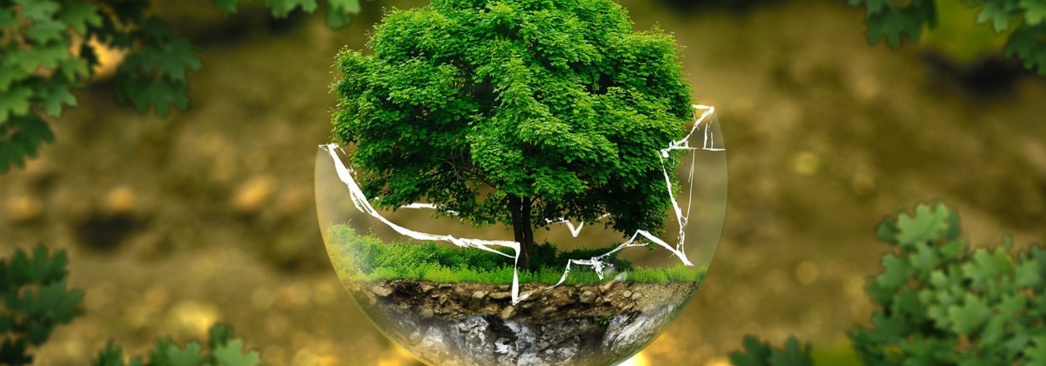 Environmental Protection