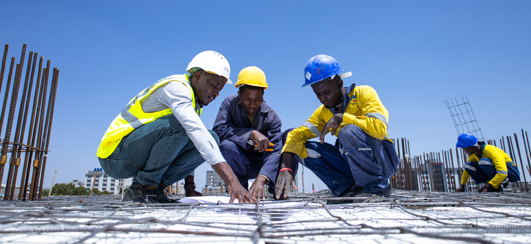 Government and Public